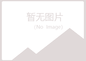 天峻县沙砾冶炼有限公司